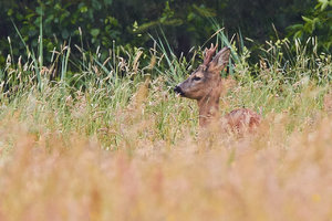 IMG_5404.jpg IMG_5404.jpg