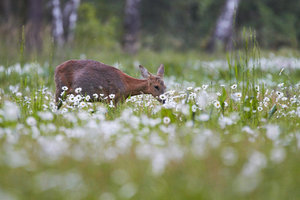 IMG_4423.jpg IMG_4423.jpg