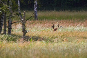 IMG_5758.jpg IMG_5758.jpg