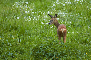 IMG_3381.jpg IMG_3381.jpg