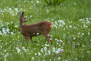 IMG_3389.jpg IMG_3389.jpg