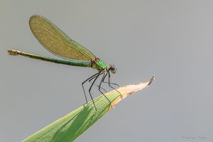 OMD43762_SHARPEN projects-2.jpg