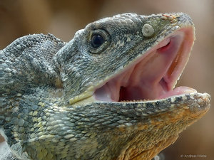 2017-06-16 07-47-30 (A,Radius8,Smoothing2).jpg