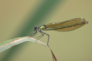 P1190103_SHARPEN projects-2.jpg