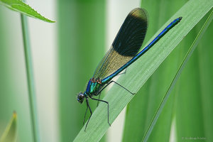 P1190176_SHARPEN projects.jpg