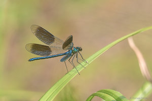 P1190061_SHARPEN projects.jpg