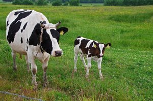 Gewerbegebiet 8.Juni 2017 (9).jpg