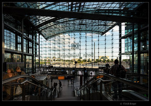 2017-06-14-_DSC2683 BE BE FF FF-FaMo.jpg