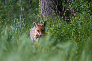 IMG_5914.jpg IMG_5914.jpg