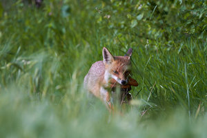 IMG_5916.jpg IMG_5916.jpg