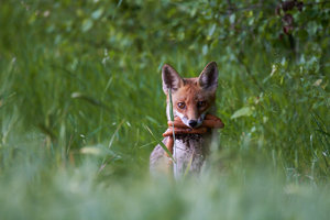 IMG_5917.jpg IMG_5917.jpg