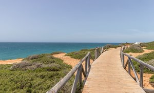 comp_IMG_0309.jpg comp_IMG_0309.jpg