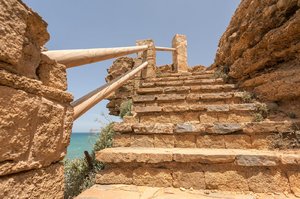 comp_BIMG_2784.jpg comp_BIMG_2784.jpg