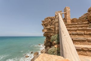 comp_BIMG_2785.jpg comp_BIMG_2785.jpg