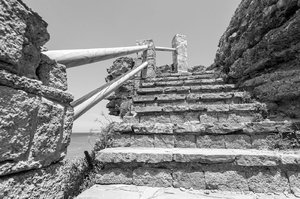 comp_BIMG_2784sw.jpg comp_BIMG_2784sw.jpg