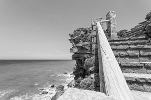 comp_BIMG_2785sw.jpg comp_BIMG_2785sw.jpg