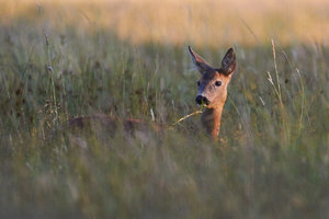 IMG_6392.jpg IMG_6392.jpg