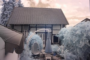 IMG_4084 (Large).JPG IMG_4084 (Large).JPG