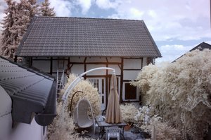 IMG_4084+wb (Large).jpg IMG_4084+wb (Large).jpg