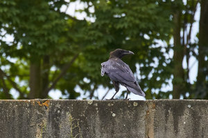 IMG_6624.jpg IMG_6624.jpg