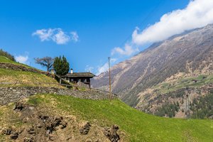 comp_P4240005.jpg comp_P4240005.jpg