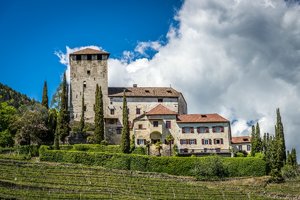 comp_DSC07102.jpg comp_DSC07102.jpg