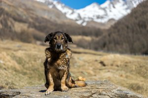 comp_DSC06834.jpg comp_DSC06834.jpg