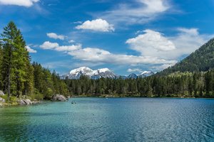 comp_DSC07550.jpg comp_DSC07550.jpg