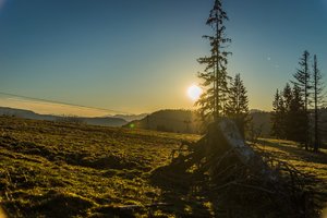 comp_07494.jpg comp_07494.jpg