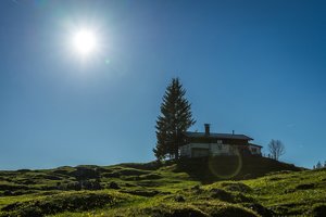 comp_07406.jpg comp_07406.jpg