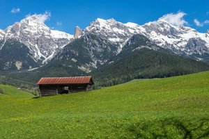 comp_07345.jpg comp_07345.jpg