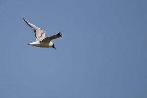 IMG_3419.jpg IMG_3419.jpg