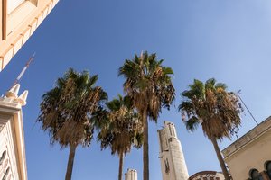 comp_SAM_1242.jpg comp_SAM_1242.jpg