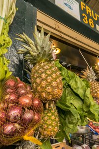 comp_SAM_1234.jpg comp_SAM_1234.jpg