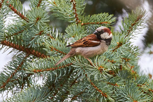 IMG_8494.jpg IMG_8494.jpg