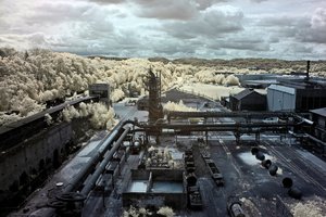 IMG_4122 (Medium).jpg