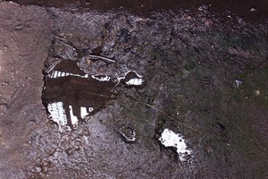 P1210354 (Medium).jpg