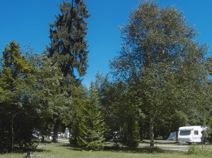 201707171-PIMG0013-bf.jpg 201707171-PIMG0013-bf.jpg