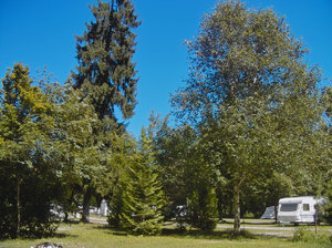 201707171-PIMG0014-bf.jpg 201707171-PIMG0014-bf.jpg