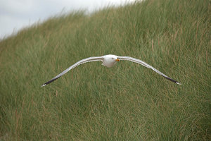 DSC_3674_1M.jpg DSC_3674_1M.jpg