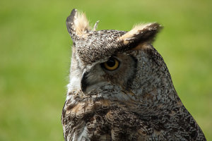 DSC_3861_1E.jpg DSC_3861_1E.jpg