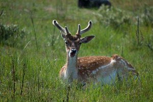 DSC_3870_1H.jpg DSC_3870_1H.jpg