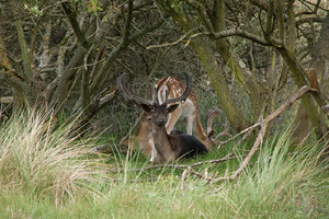 DSC_4021_1H.jpg DSC_4021_1H.jpg