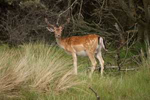 DSC_4022_1H.jpg DSC_4022_1H.jpg