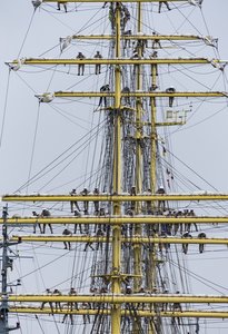 Mircea232. August 17.jpg