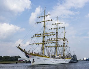 Mircea312. August 17.jpg