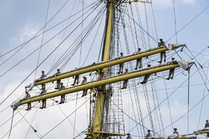 Mircea322. August 17.jpg