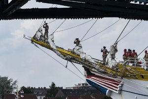 Mircea332. August 17.jpg