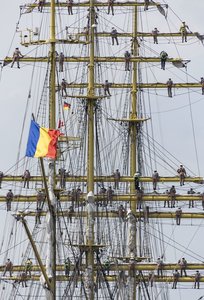 Mircea482. August 17.jpg