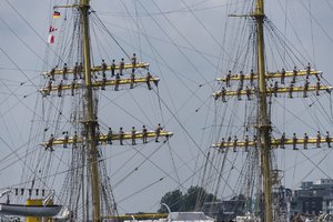 Mircea522. August 17.jpg